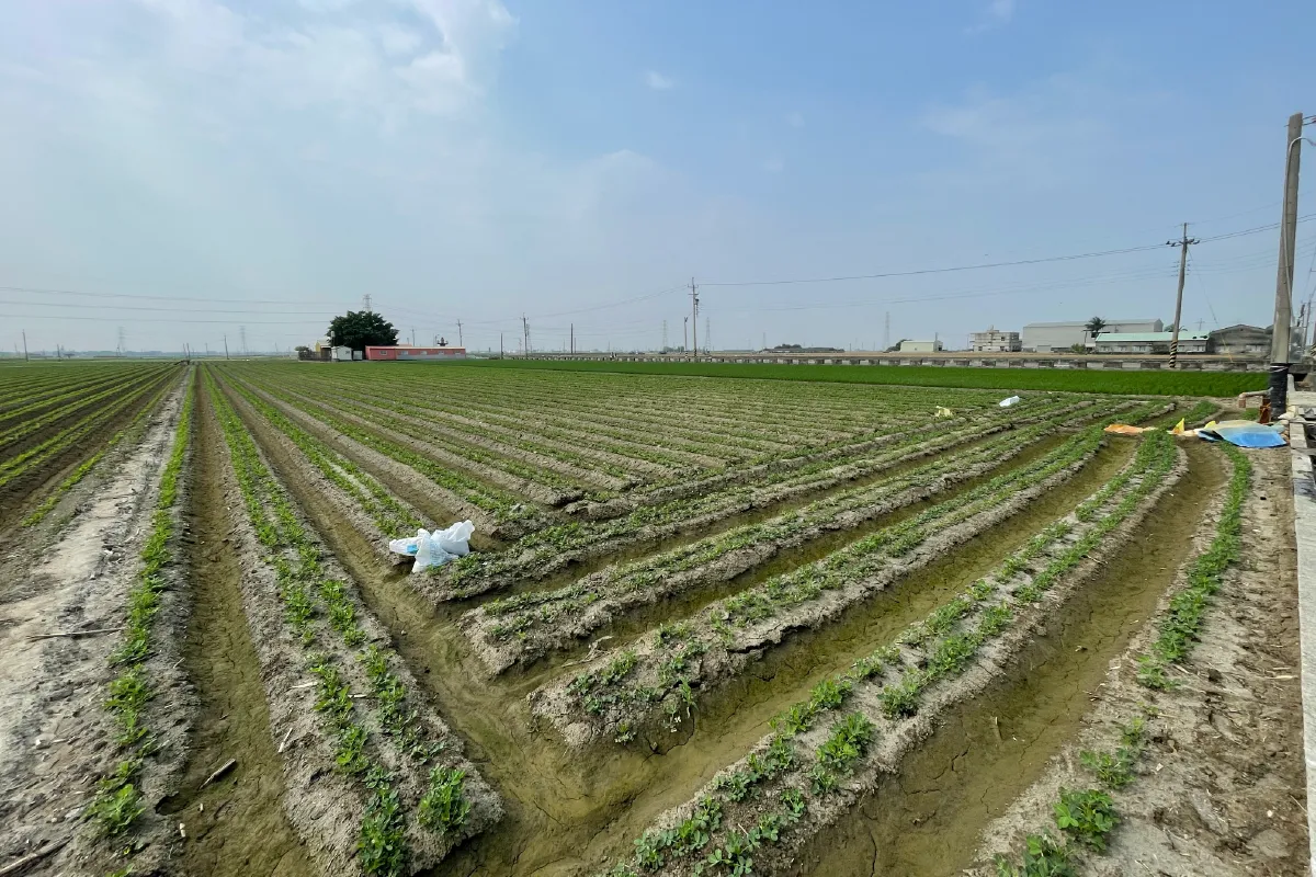 田間管理